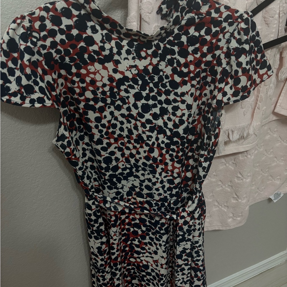 Cute Women’s Navy and Rust Dot Print Dress